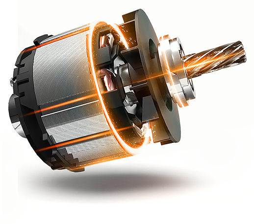 image (11).png